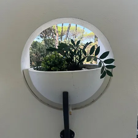 Casa Nel Di Roma Apartment *